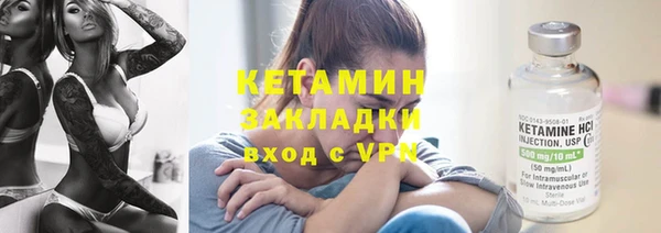 прущие грибы Белокуриха