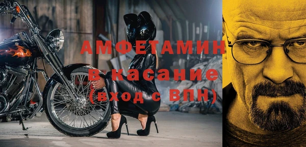 прущие грибы Белокуриха