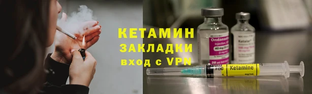 прущие грибы Белокуриха