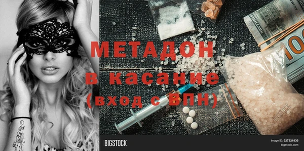 прущие грибы Белокуриха