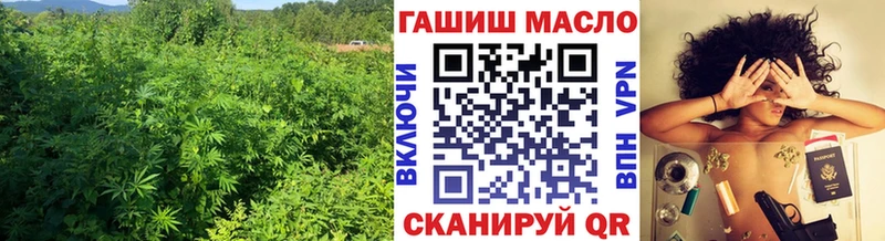 ТГК Wax  сколько стоит  блэк спрут ссылки  Навашино 