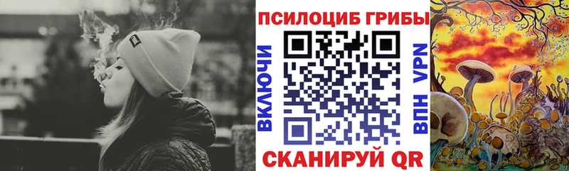 shop телеграм  Навашино  Галлюциногенные грибы мухоморы 