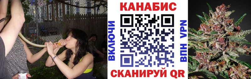 Каннабис SATIVA & INDICA  купить закладку  Навашино 